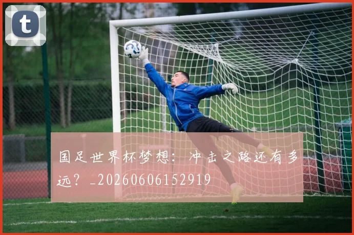 国足世界杯梦想：冲击之路还有多远？_20260606152919