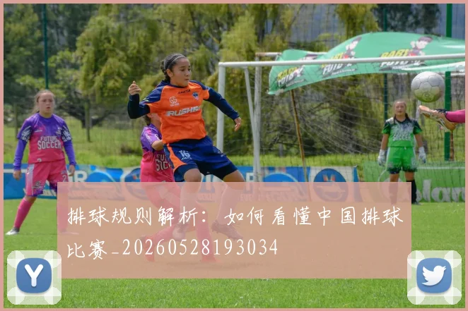 排球规则解析:如何看懂中国排球比赛_20260528193034